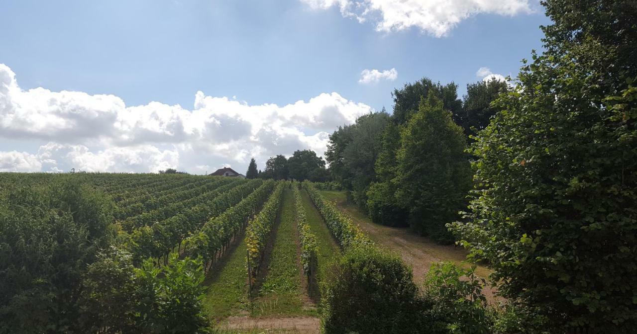 Naehe Mainz - Ferienwohnung - Apartment Breivogel In Wörrstadt Exteriör bild